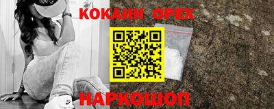 прущие грибы Ирбит