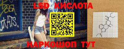 прущие грибы Ирбит