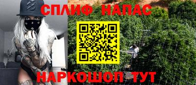 прущие грибы Ирбит