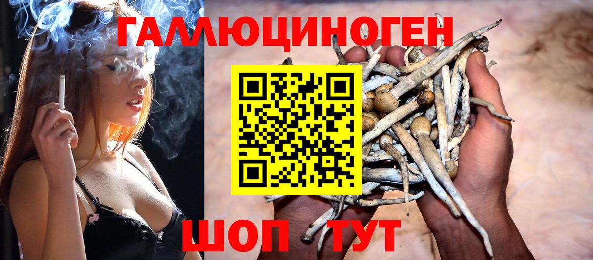 Псилоцибиновые грибы GOLDEN TEACHER Кыштым