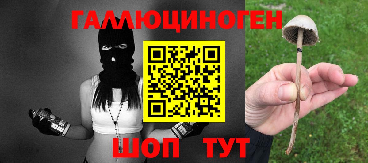 Псилоцибиновые грибы MAGIC MUSHROOMS  Вход с VPN  Кыштым 